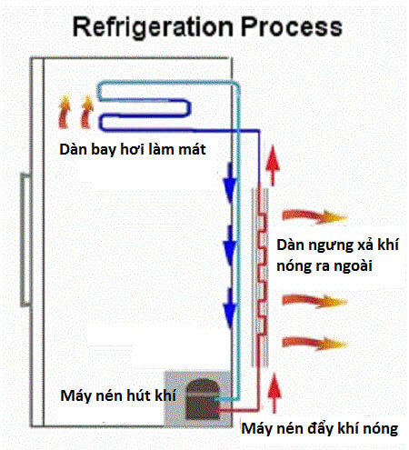 Tủ đông và tủ lạnh có nguyên lý hoạt động giống nhau
